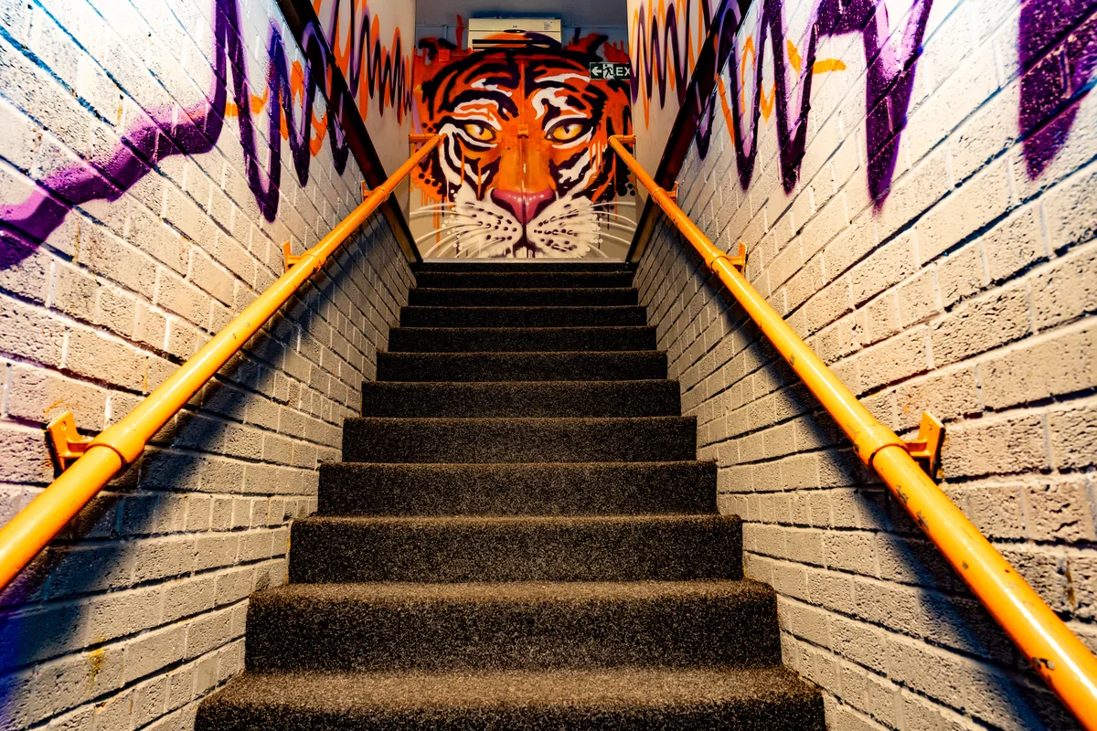 Tiger staircase artwork at DJW Events